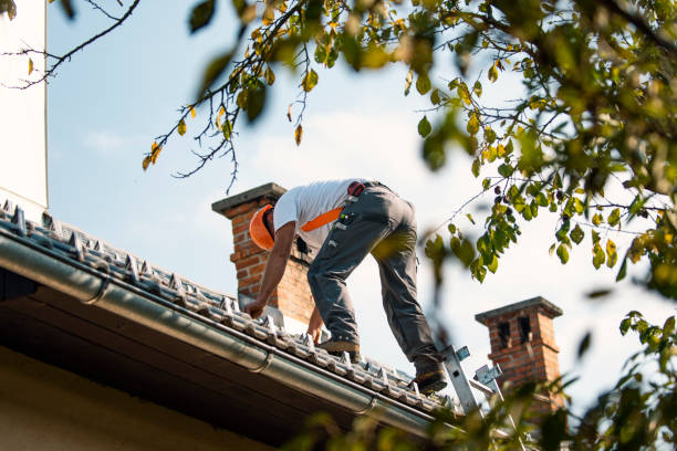 Best Metal Roofing Contractor  in Roodhouse, IL